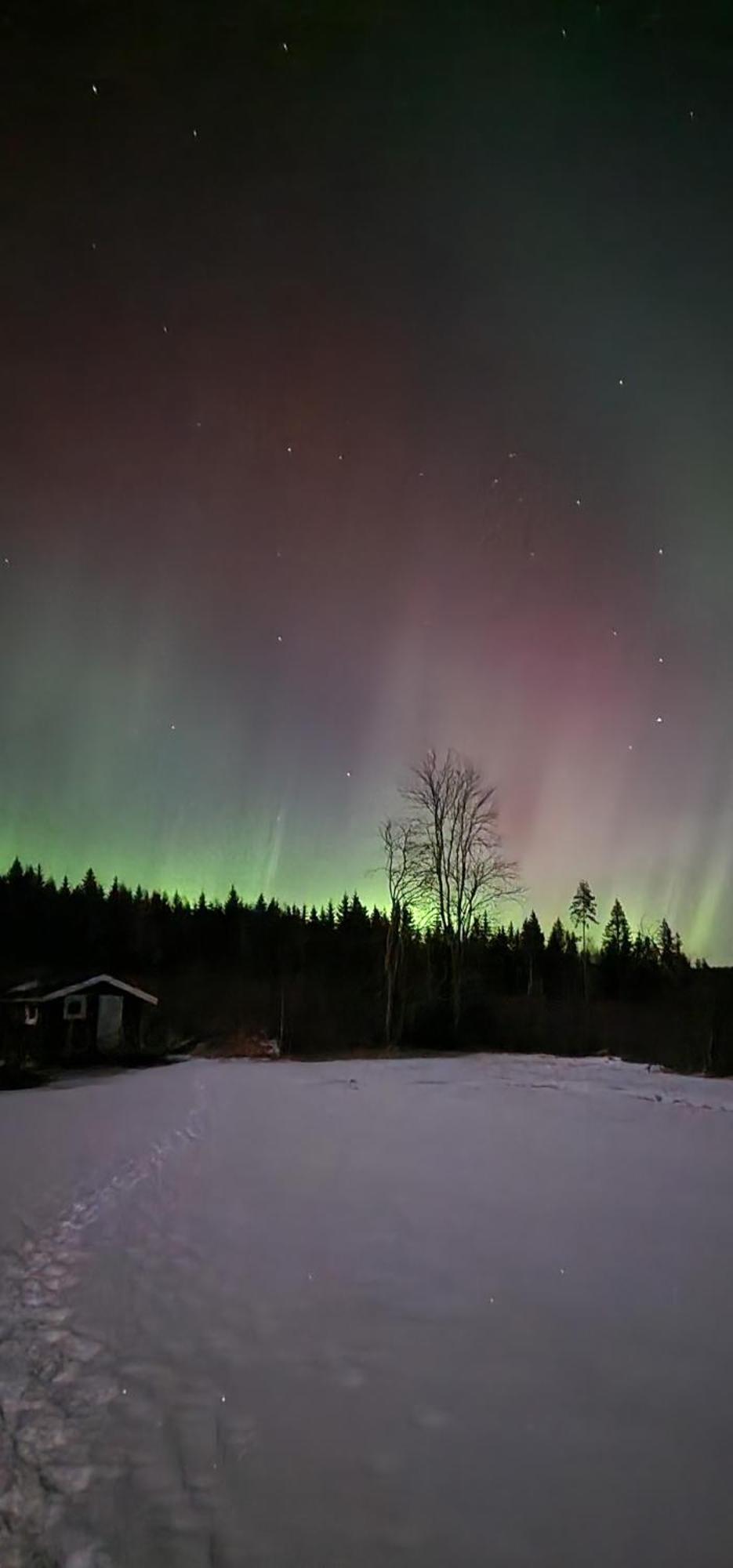Chalet Nygard - Brandnew, Fully Equipped In Nature Sunne