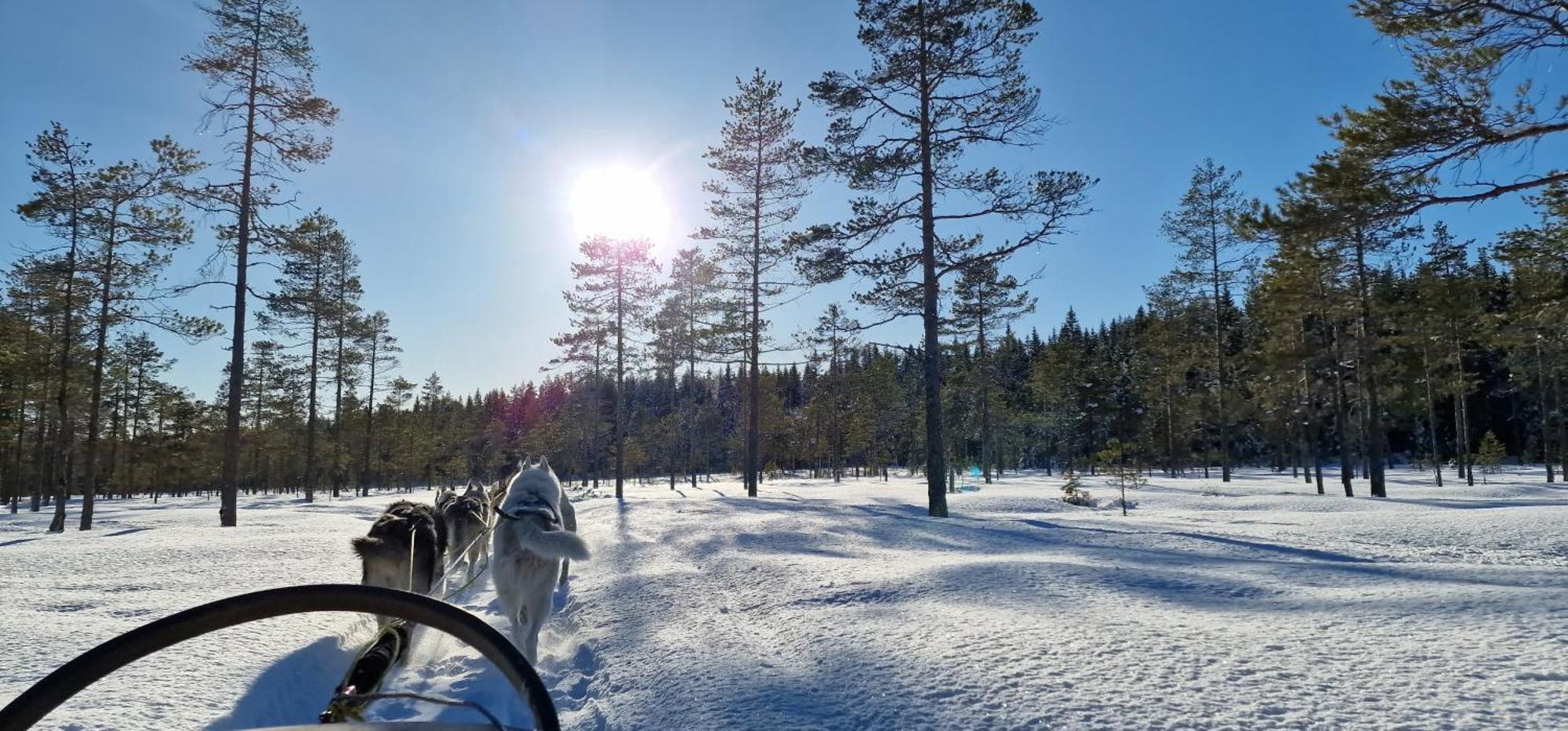 Nygard - Brandnew, Fully Equipped In Nature Sunne